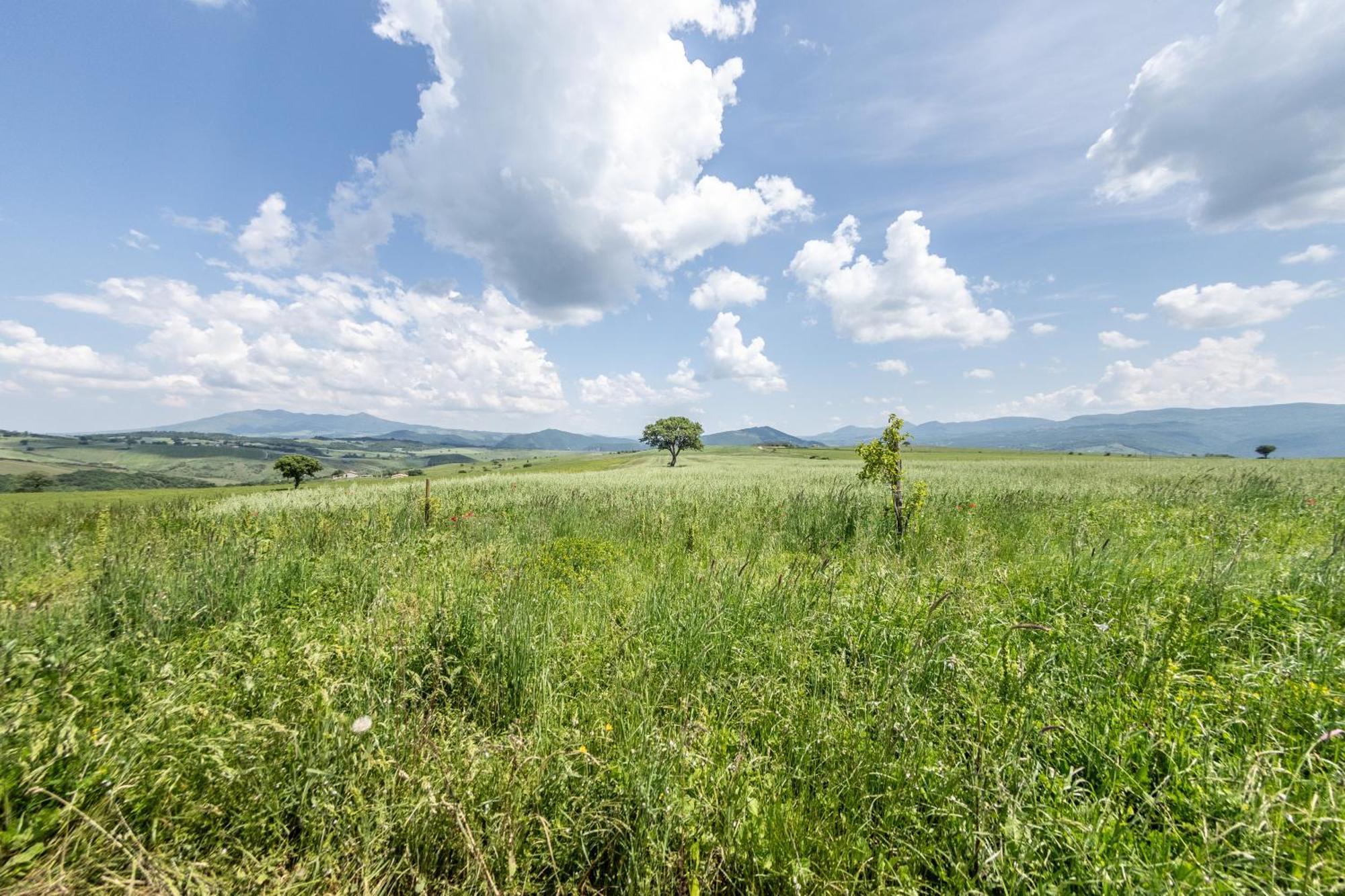 Dimora Schioppo - Irpinia Apartment Calitri Bagian luar foto
